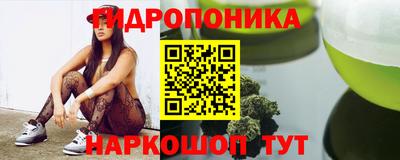 мдпв Татарск