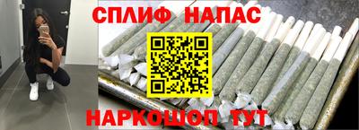мдпв Татарск