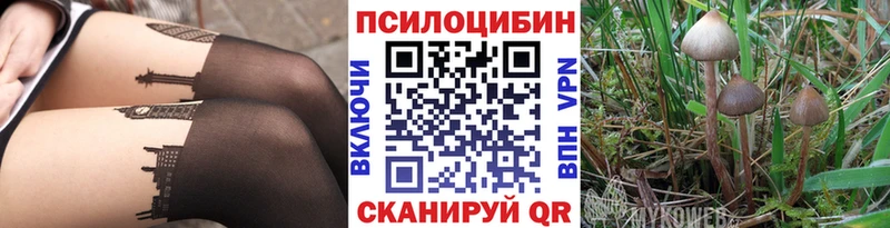 где найти наркотики  Стрежевой  Псилоцибиновые грибы MAGIC MUSHROOMS 
