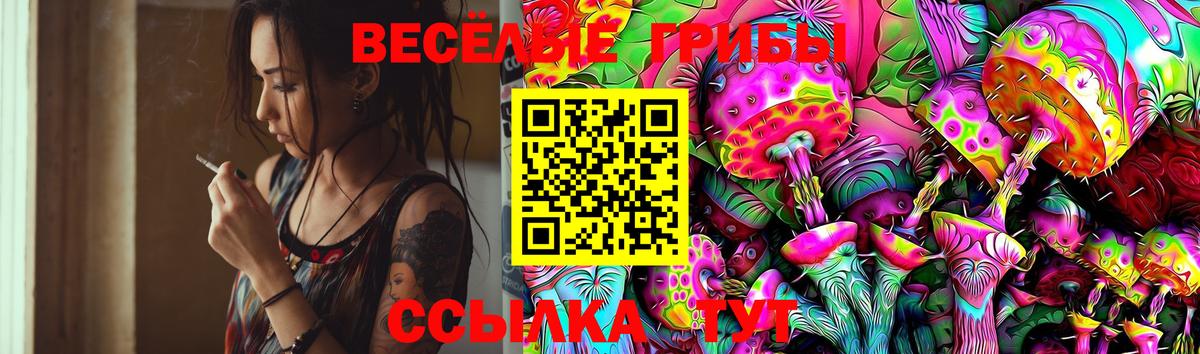 Псилоцибиновые грибы MAGIC MUSHROOMS Стрежевой