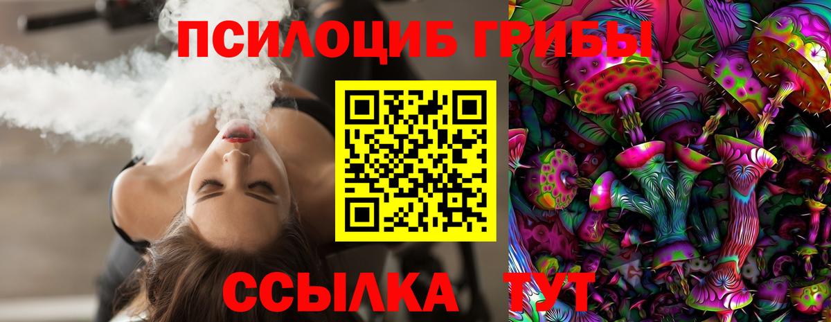Галлюциногенные грибы мицелий  Псилоцибиновые грибы прущие грибы  Стрежевой  Вход с VPN 